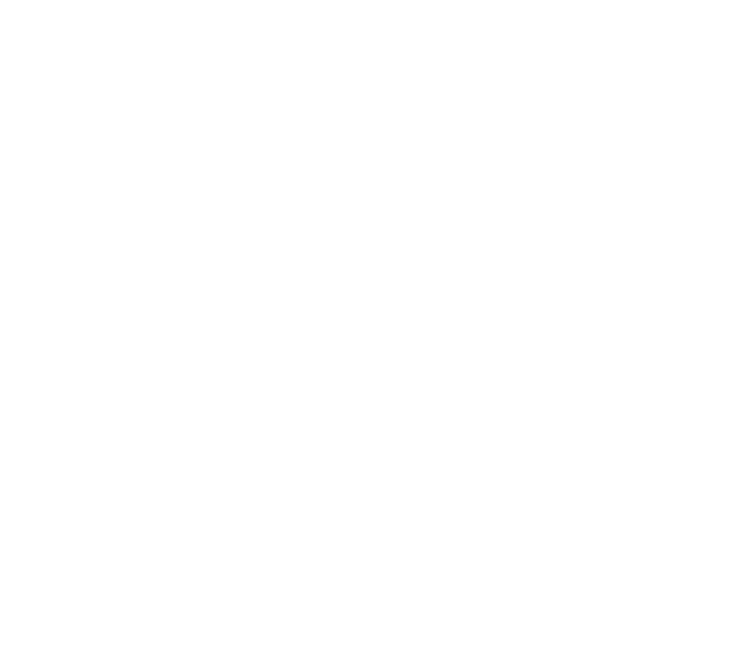Antilver Systems Private Limited